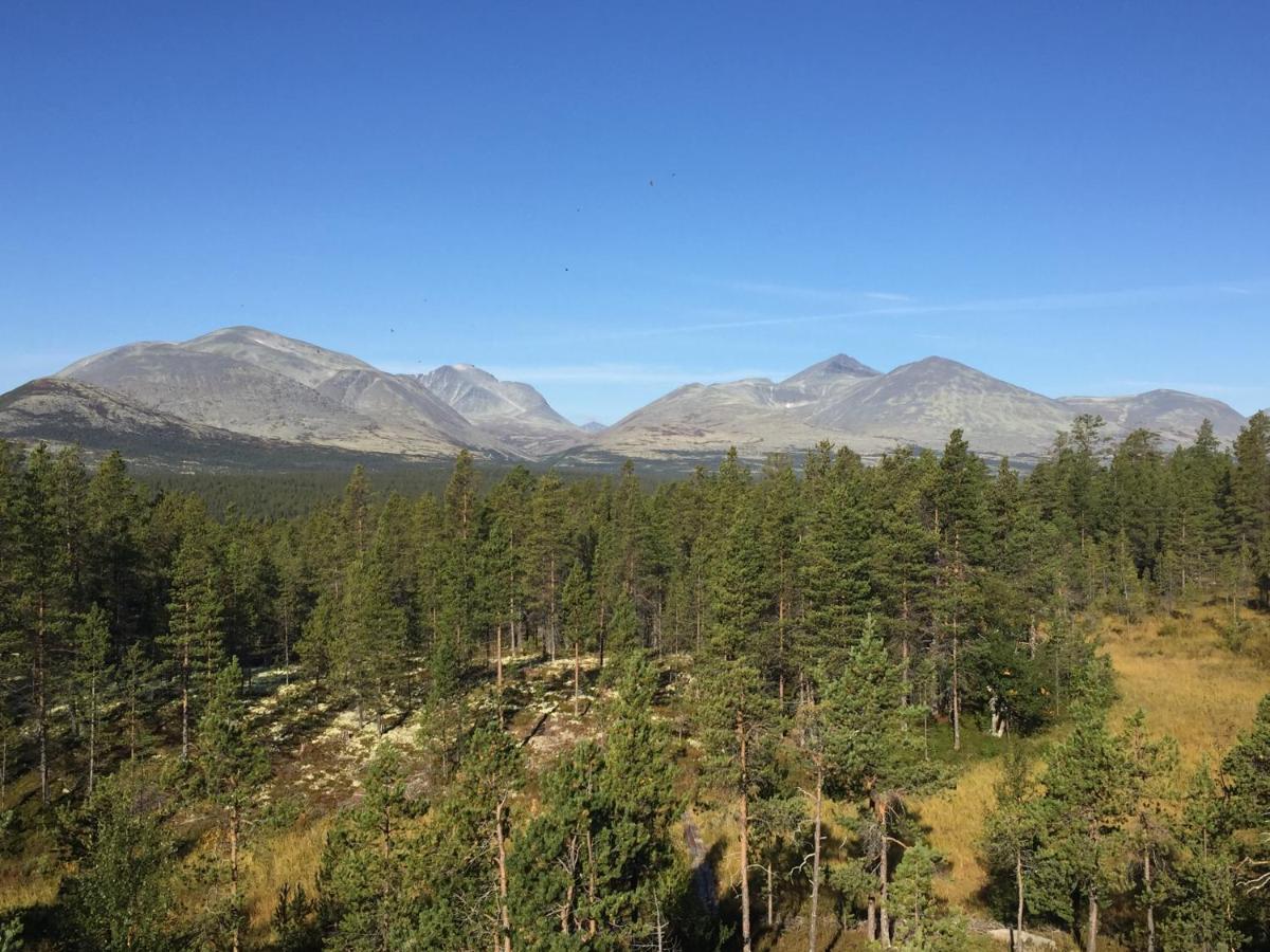 הוילה Rondane Sollia Friluftsliv Ovre Nordli מראה חיצוני תמונה
