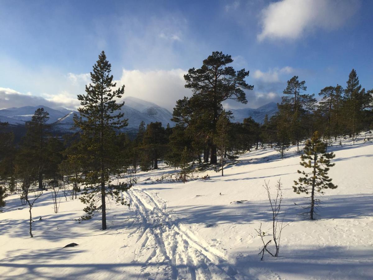 הוילה Rondane Sollia Friluftsliv Ovre Nordli מראה חיצוני תמונה