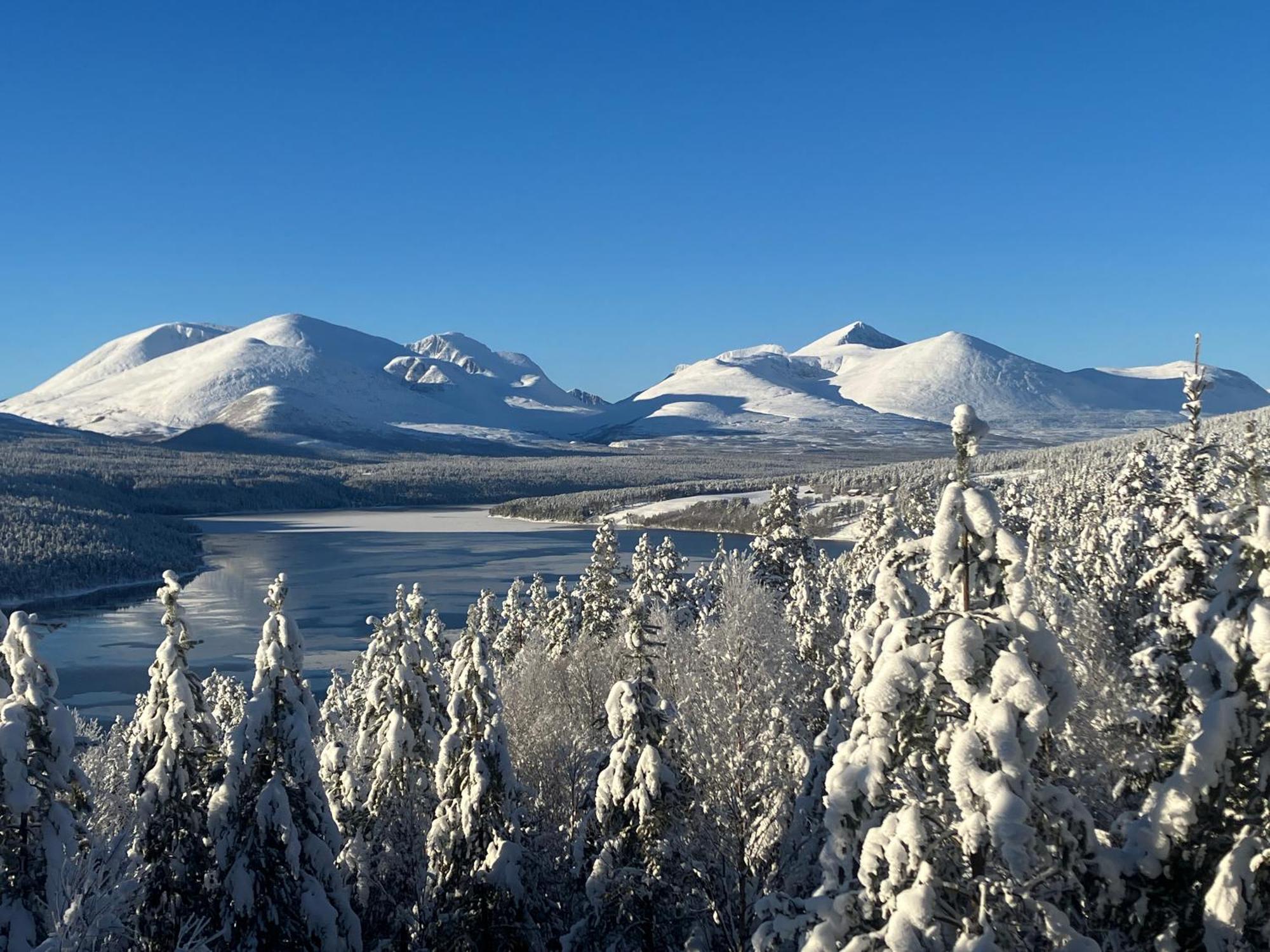 הוילה Rondane Sollia Friluftsliv Ovre Nordli מראה חיצוני תמונה